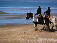 Horse riding on the beach at La Terriere