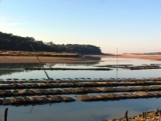 Oyster Beds at Talmont St Hilaire